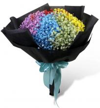 Rainbow Baby's Breath