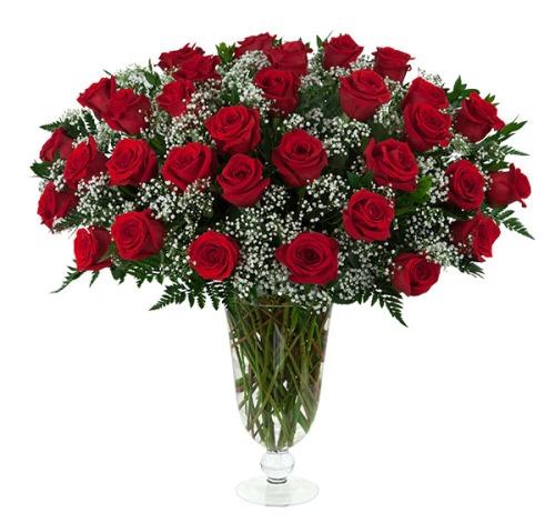 Blushing roses product224