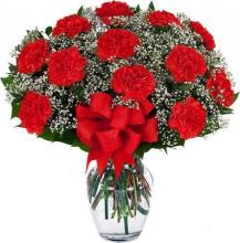 12 Red Carnations Vase 12 Red Carnations Vase