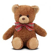 Small brown teddy bear